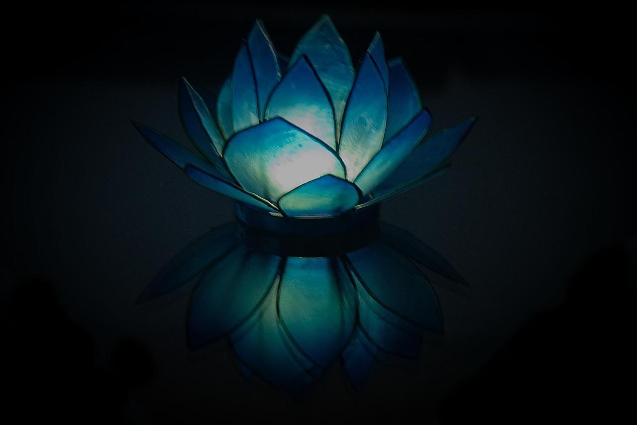 Blue Lotus Apartment Wina Bagian luar foto